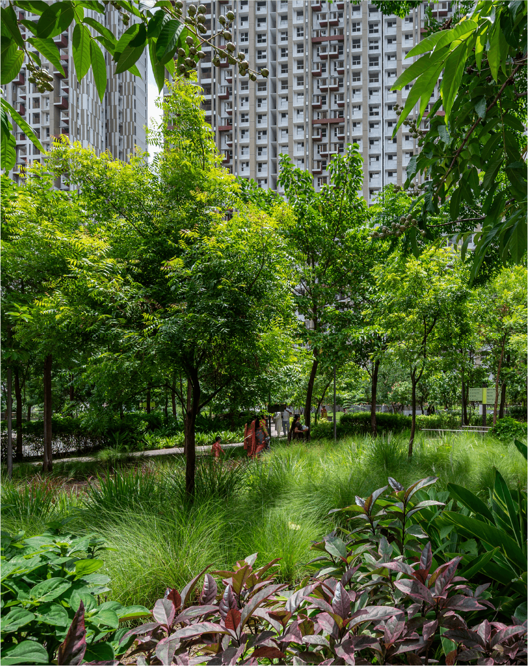 the central greens_2